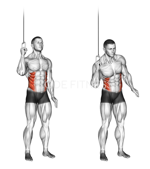 Cable Standing Oblique Crunch