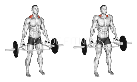 Trap Bar Standing Shrug