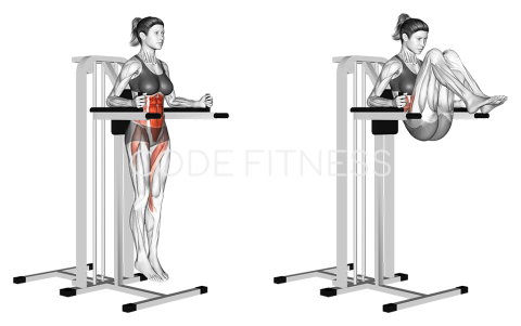 Vertical Leg Raise (on parallel bars)