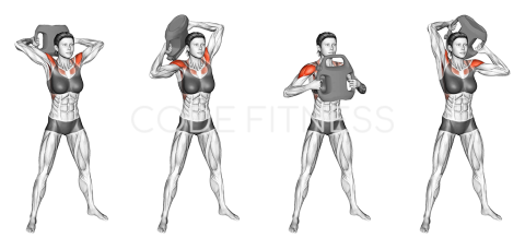 Bottle Weighted Halo