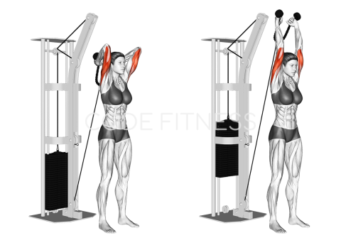 Cable Overhead Triceps Extension (rope attachment)
