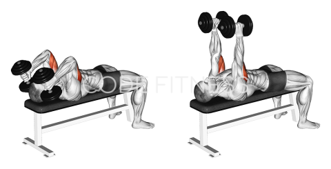 Dumbbell Lying Triceps Extension