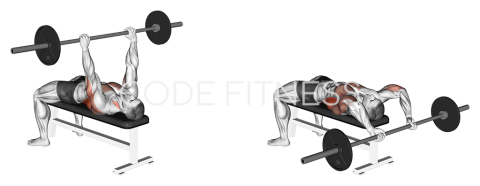 Barbell or Machine Pullover