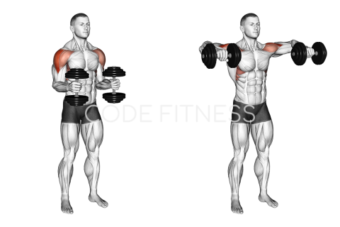 Dumbbell Standing Lateral Raise