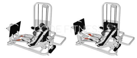 Machine Calf Raise