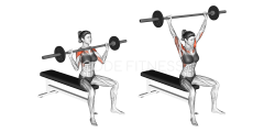 Barbell Shoulder Press
