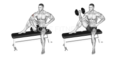 Dumbbell Seated External Shoulder Rotation
