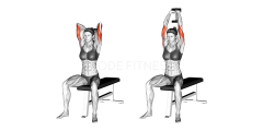 Dumbbell Seated Triceps Press