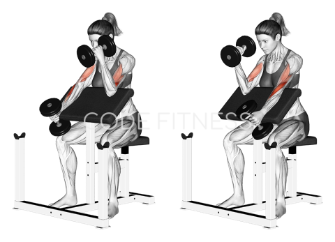 Dumbbell Alternate Hammer Preacher Curl