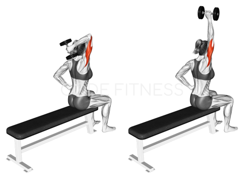 One-Arm Seated Triceps Press