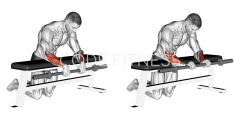 Reverse Wrist Curl