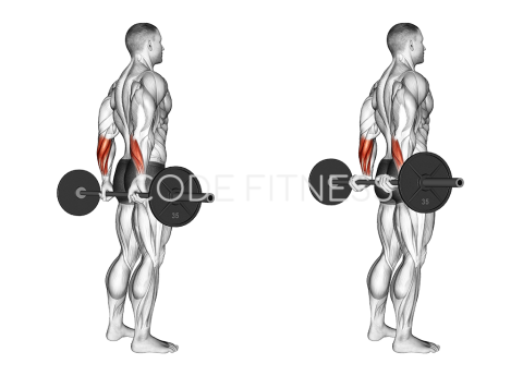 Barbell Standing Rear Wrist Curl