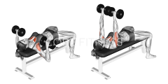 Dumbbell Bench Press