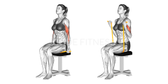 Resistance Band Seated Biceps Curl