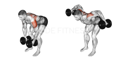 Dumbbell Bent-Over Raise