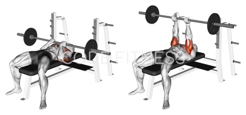 Reverse-Grip Bench Press