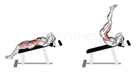 Incline Leg Raise