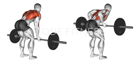 Barbell Reverse Grip Bent over Row
