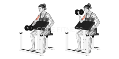 Dumbbell Preacher Curl