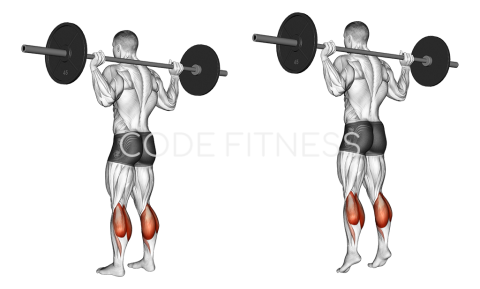 Barbell Floor Calf Raise