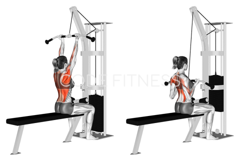 Close-Grip Pull-Down