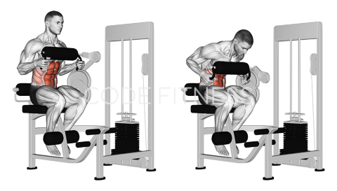 Machine Crunch With Chest Pad