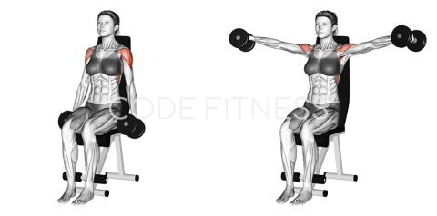 Dumbbell Seated Lateral Raise