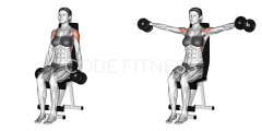 Dumbbell Seated Lateral Raise