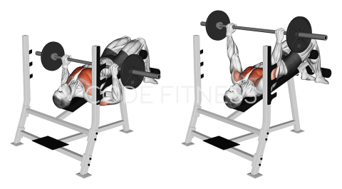 Barbell Decline Press