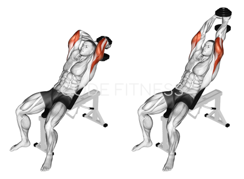 Dumbbell Incline Two Arm Extension