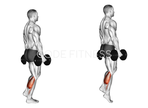 Dumbbell One-Leg Calf Raise