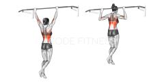 Behind-The-Neck Pull-Up