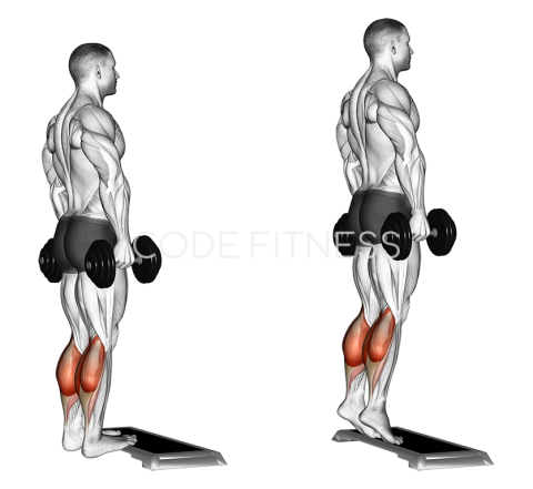 Dumbbell Standing Calf Raise