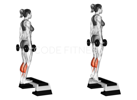 Dumbbell Standing Calf Raise