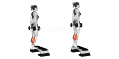 Dumbbell Standing Calf Raise