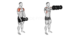 Dumbbell Front Raise