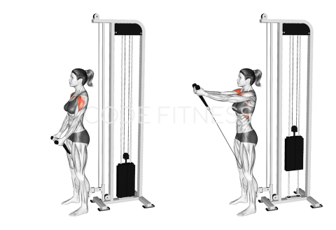 Cable Front Raise - Rope Attachment
