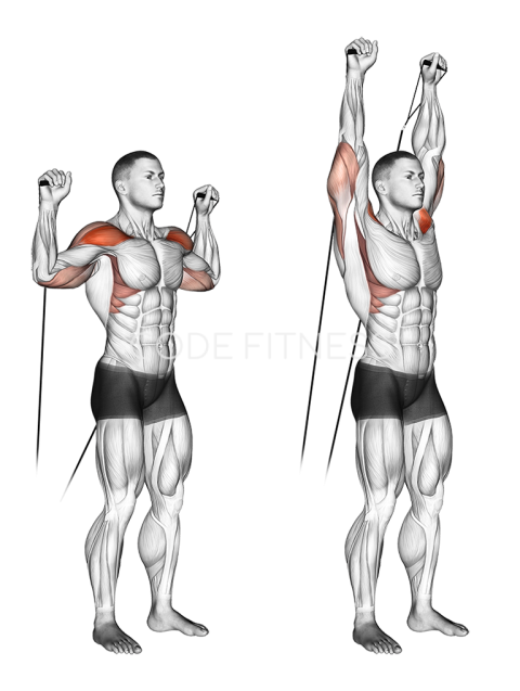 Cable Shoulder Press