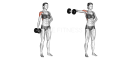 One-Arm Dumbbell Lateral Raise