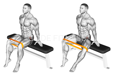 Resistance Band Seated Hip Abduction