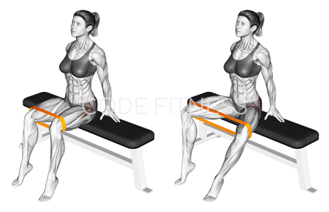 Resistance Band Seated Hip Abduction