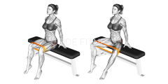 Resistance Band Seated Hip Abduction