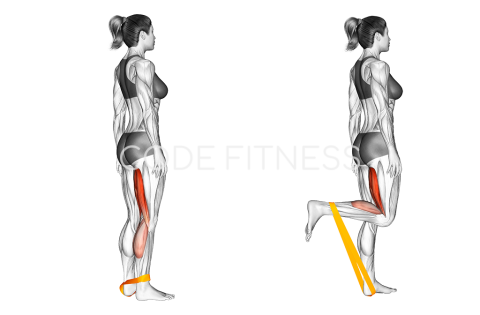 Resistance Band Leg Curl