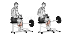 Seated Calf Raise