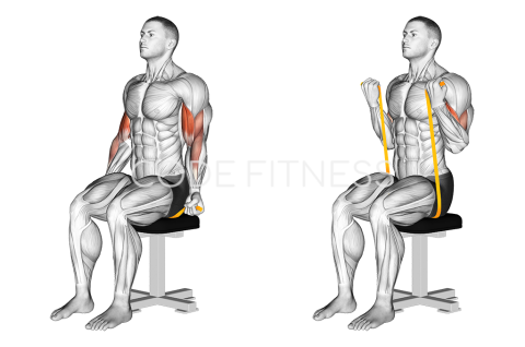 Бицепсово сгъване с ластик от седеж