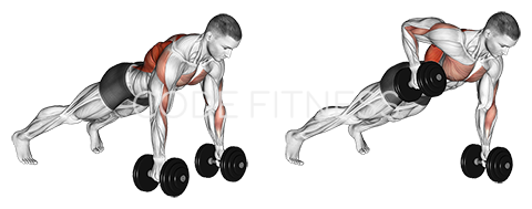 Dumbbell Renegade Row