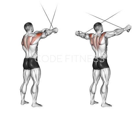 Cable Reverse Crossover
