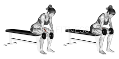 Dumbbell Wrist Curl