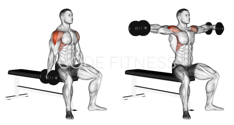 Dumbbell Seated Lateral Raise