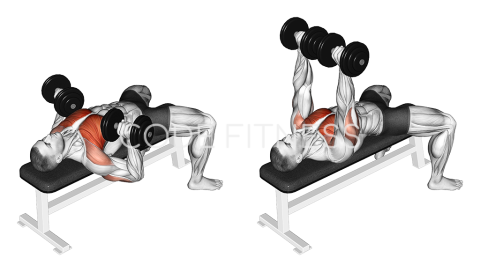 Dumbbell Bench Press